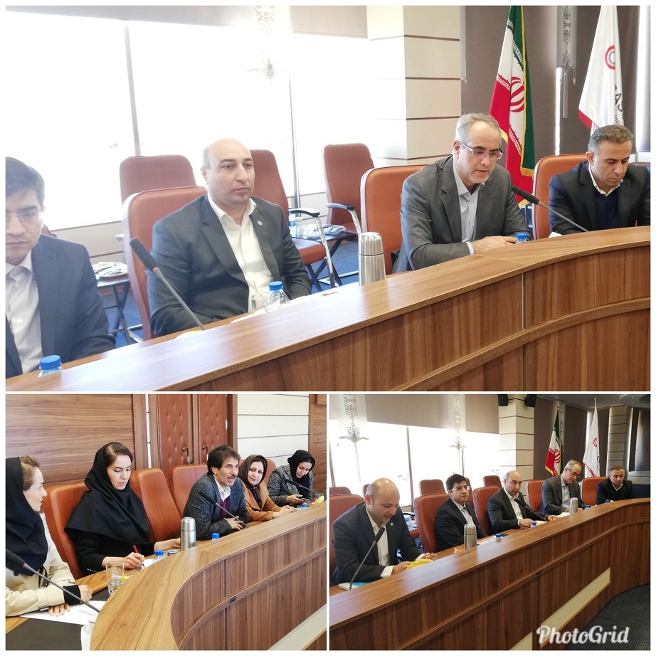 بازدید عضو هیئت‌مدیره بانک توسعه تعاون از طرح‌های اقتصادی و توسعه‌ای استان فارس