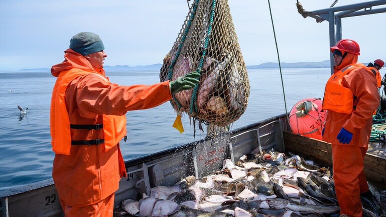 آمریکا ماهی‌های روسیه را تحریم کرد!