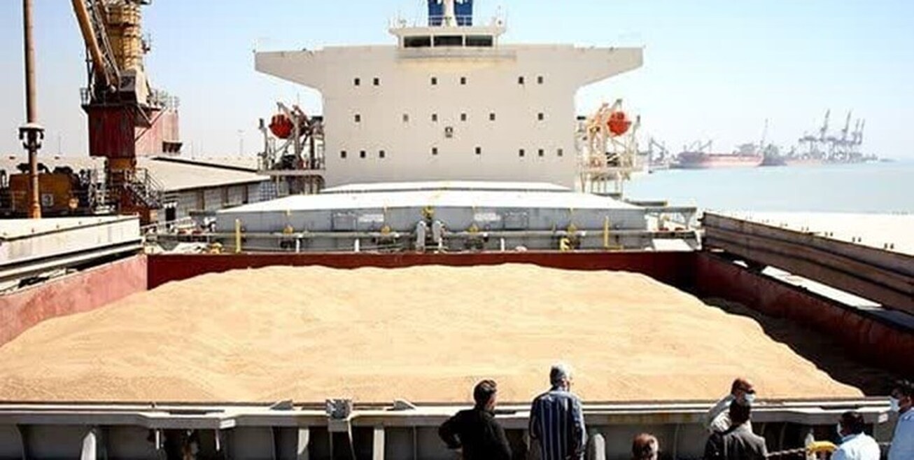 یک پنجم صادرات گندم جهان با وجود تحریم دست روس‌ها است