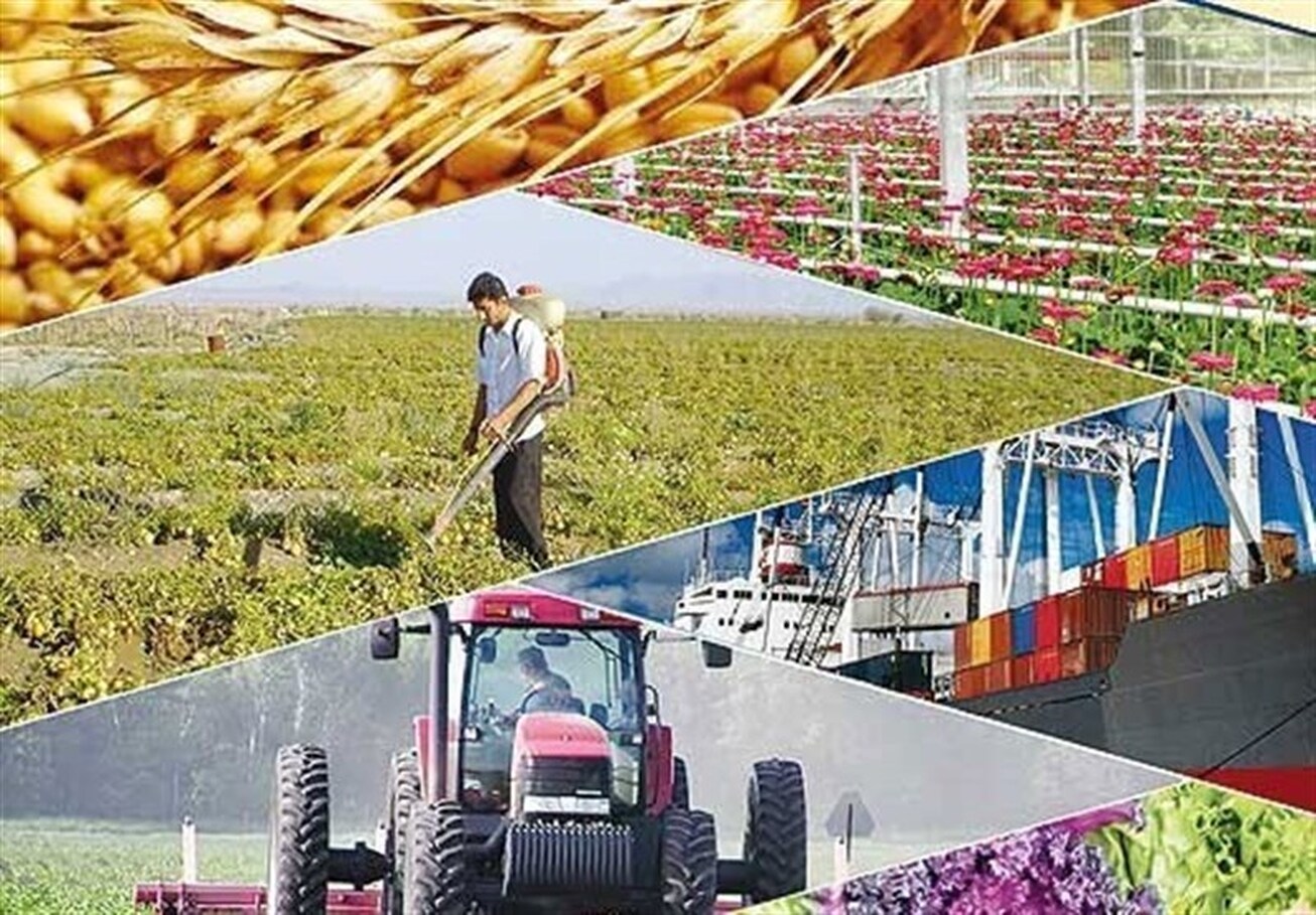 کاهش تورم تولید بخش کشاورزی در تابستان ۱۴۰۲
