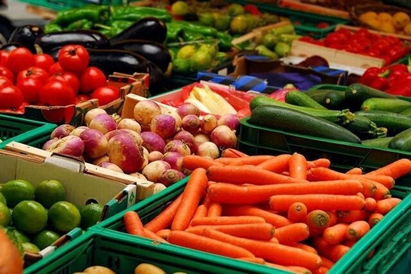 رشد ۲۰.۵ درصدی صادرات محصولات غذایی و کشاورزی ایران در سال ۱۴۰۲