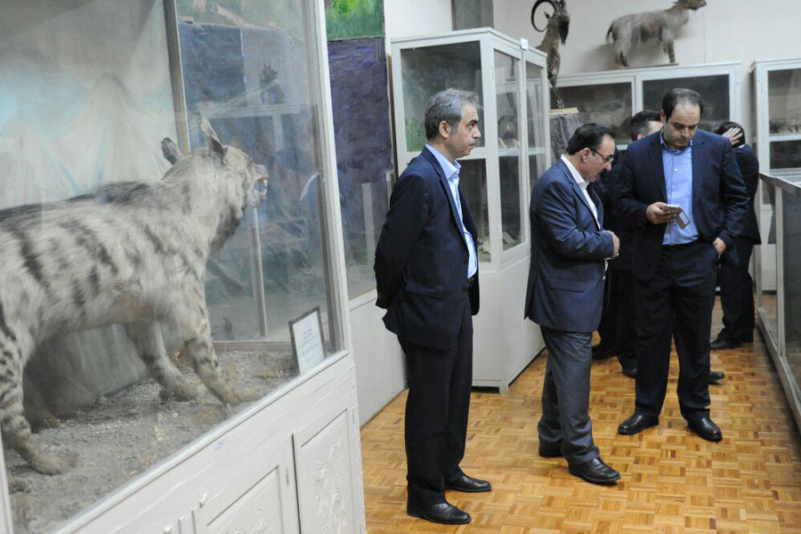 بانک ایران زمین