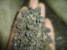 هیدروکربوری