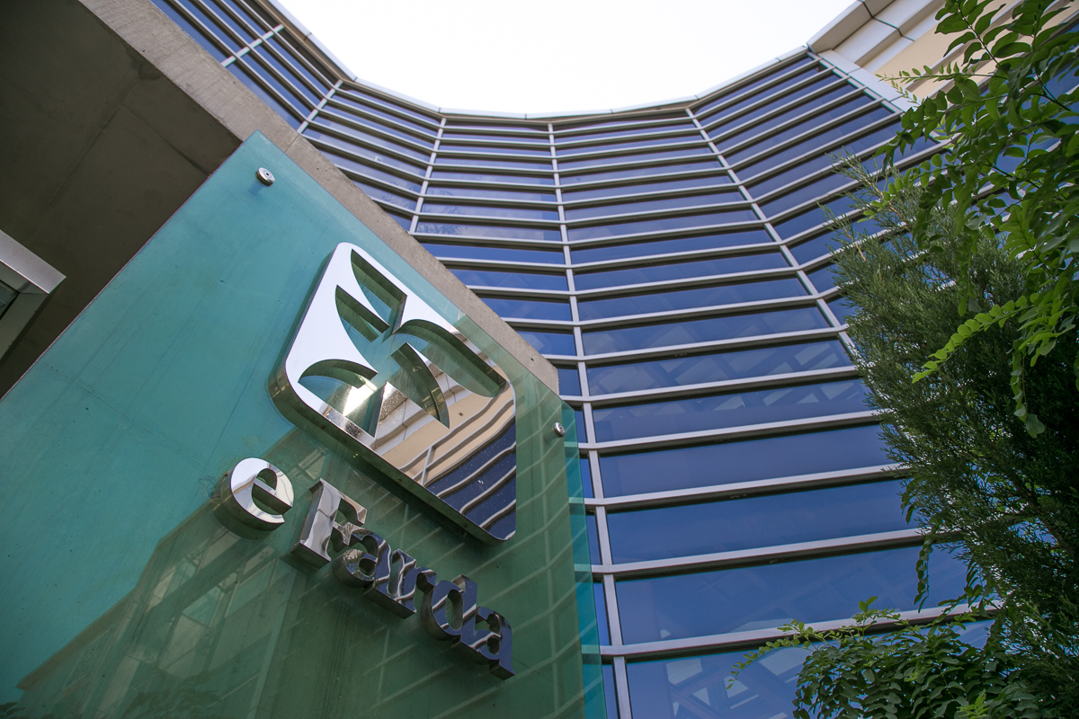 ارتباط فردا