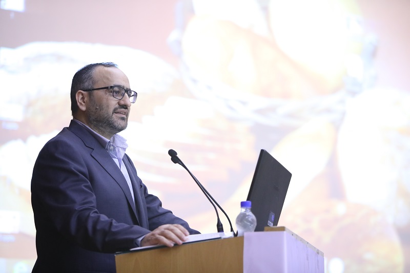 بانک سپه در کنار صنعت آرد کشور خواهد بود/ سرمایه‌گذاری 12 میلیارد دلاری بانک سپه در صنایع کشور