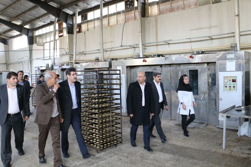 افتتاح چند طرح تعاونی با تسهیلات بانک توسعه تعاون در استان ایلام