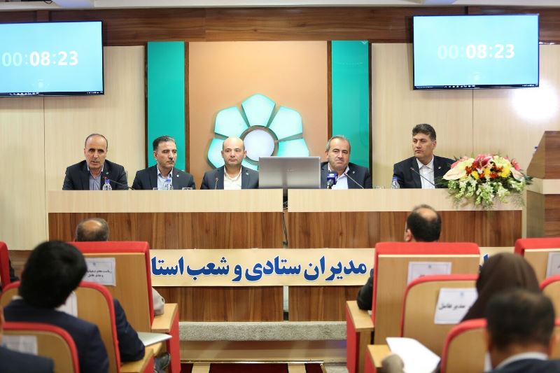 راهکارهای مدیران استانی بانک توسعه تعاون در اجرای برنامه‌های رونق تولید