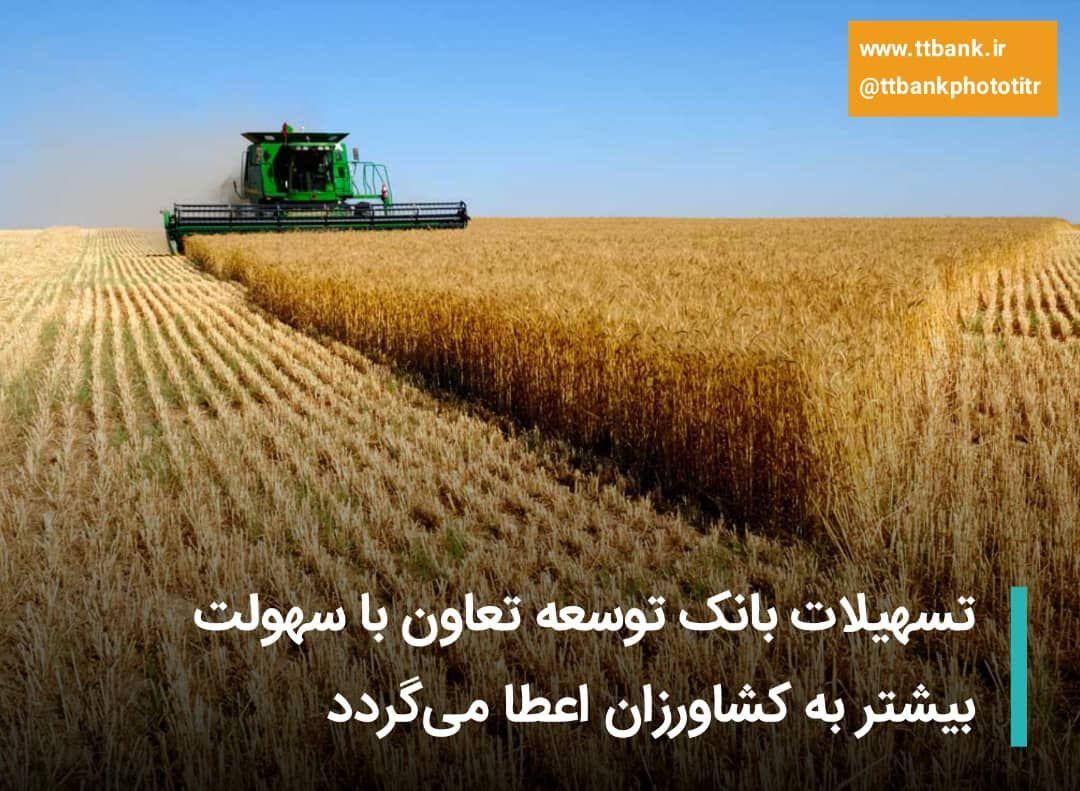 توسعه تعاون