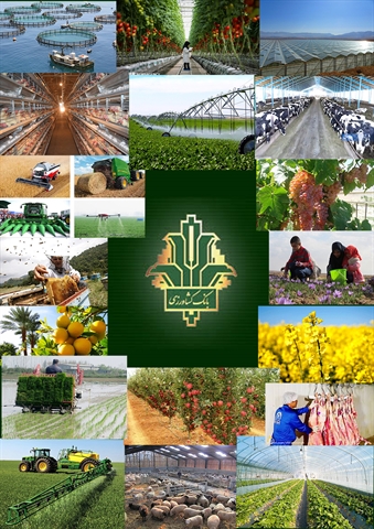 بانک کشاورزی