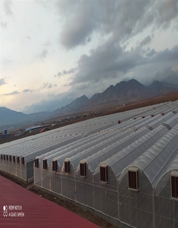 بانک کشاورزی