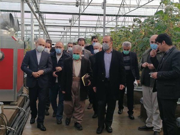 بانک کشاورزی