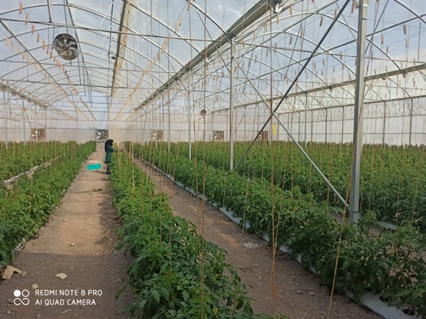 بانک کشاورزی