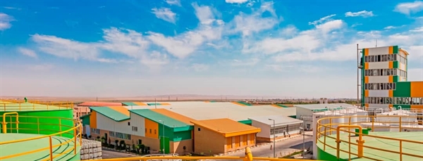 بانک کشاورزی