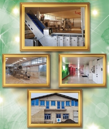 گیلان بسته بندی