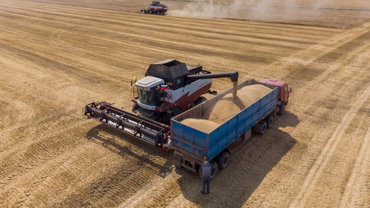 امنیت غذایی