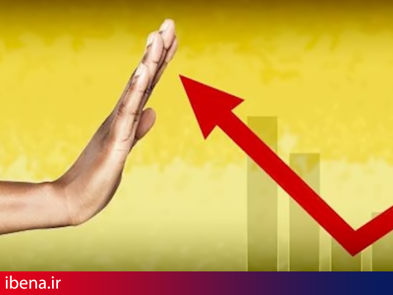 ضعف دولت ها در اجرای برنامه های کلان توسعه ای/ عوامل رشد اقتصادی