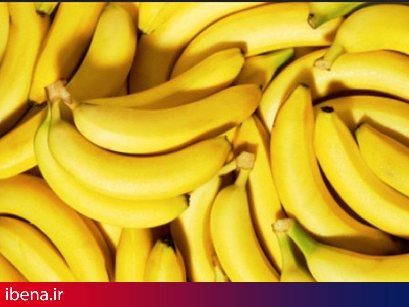 توقیف محموله 150 تنی قاچاق موز در مرز بازرگان