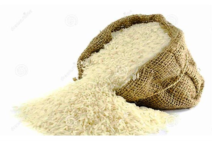 واردات برنج آزاد شد
