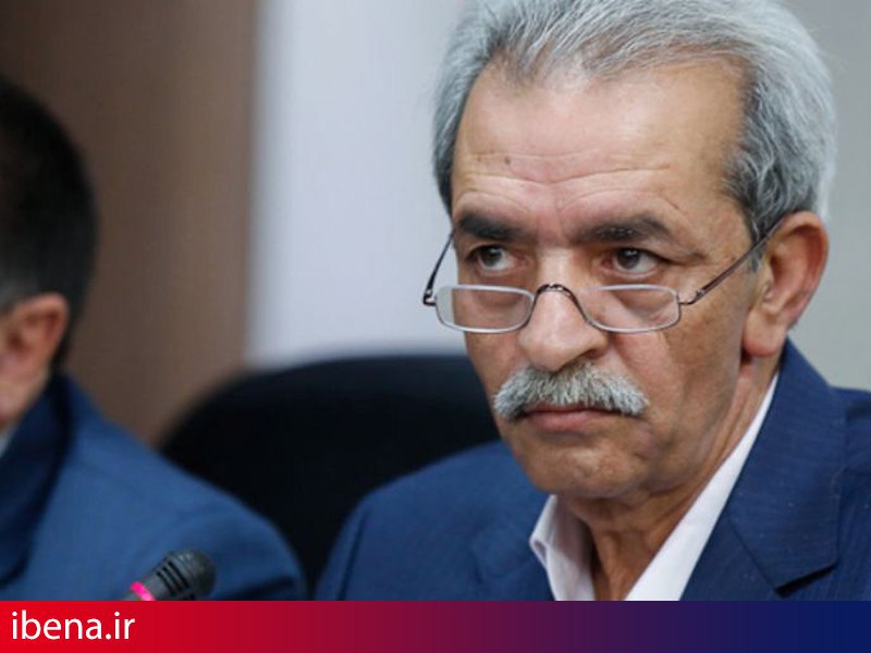 شافعی: رشد بی کیفیت و بدون برنامه منسجم، ارزش آفرین نیست