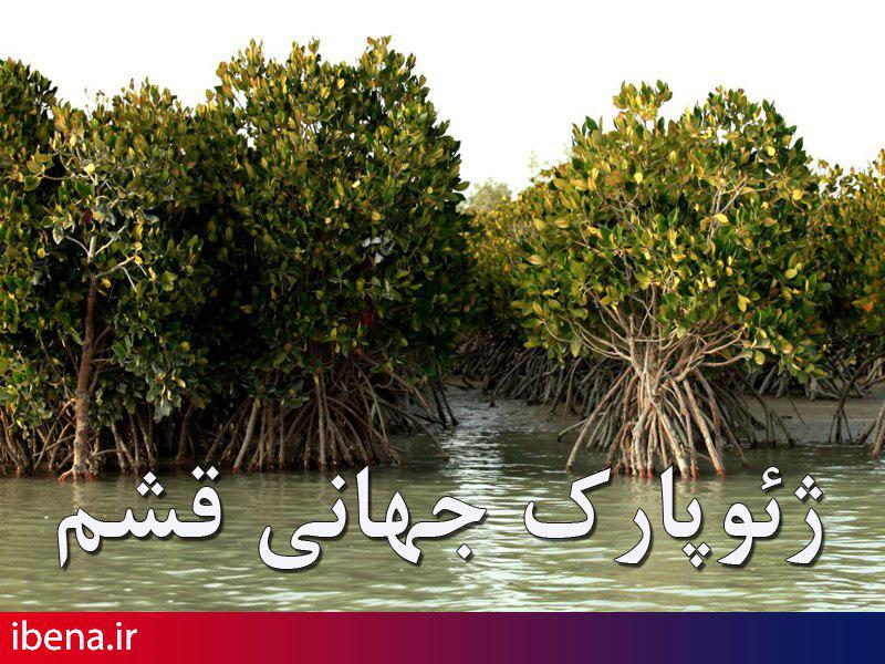 ثبت جهانی ژئوپارک قشم/ گردش مالی 450 میلیارد تومانی در نوروز