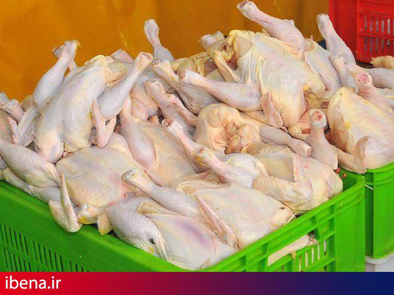 عرضه 20 هزار تن گوشت تنظیم بازاری در ماه رمضان