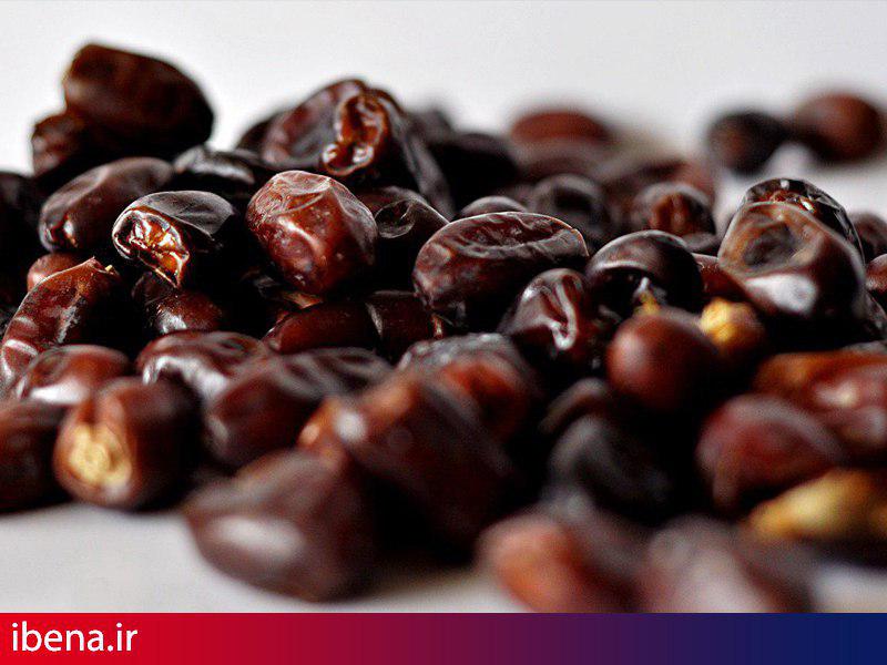 کمبودی در تامین خرما وجود ندارد/ اعلام قیمت های عمده فروشی 
