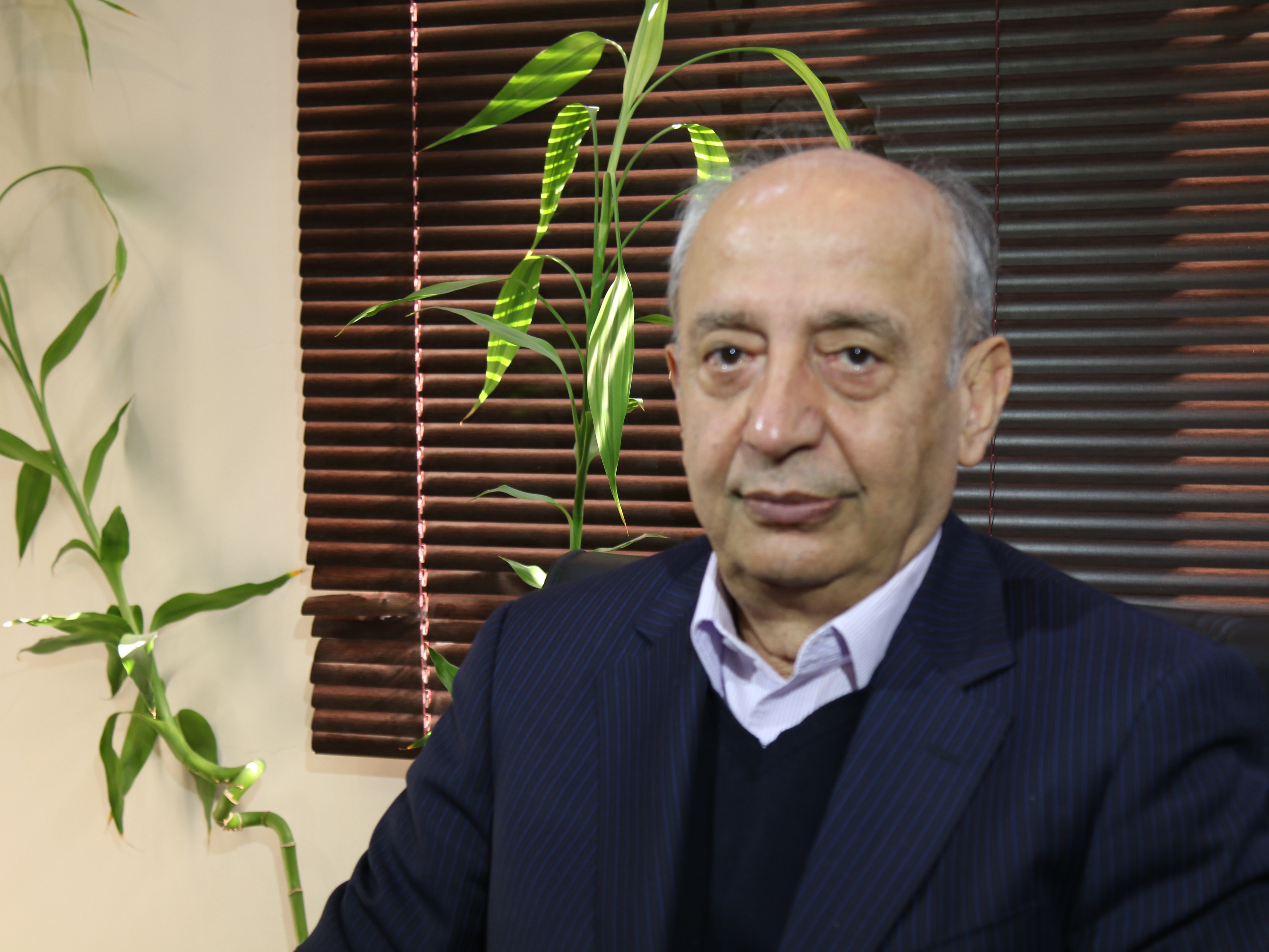 دکتر بهروز هادی زنوز - اقتصاد دان