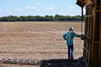 الجفاف يقضي على حقول القطن في تكساس
الولايات المتحدة الأميركية 