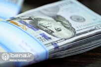 Iran's foreign debt decreased by 20 percent