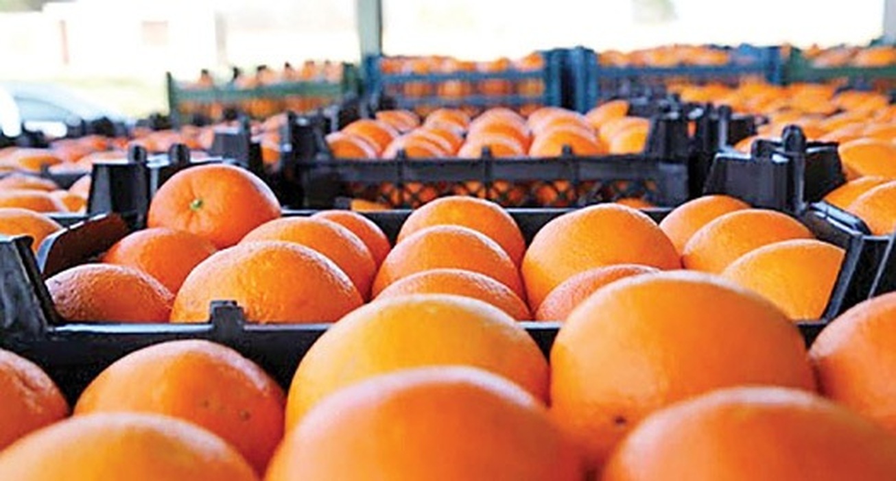 مسئول تنظیم بازار میوه شب عید مشخص شد
