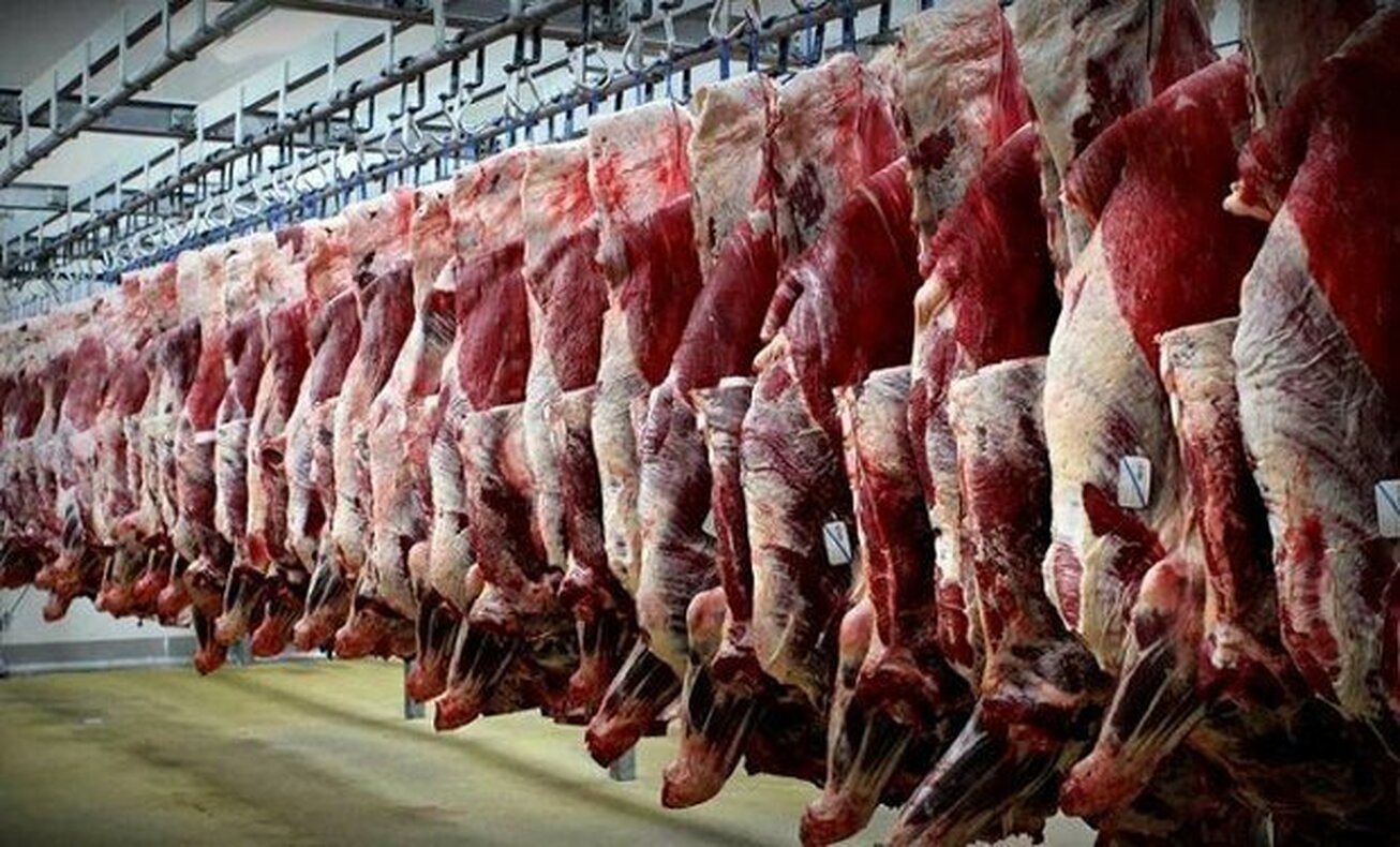 عرضه گوشت گرم از امروز در میادین  قیمت‌های مصوب اعلام شد