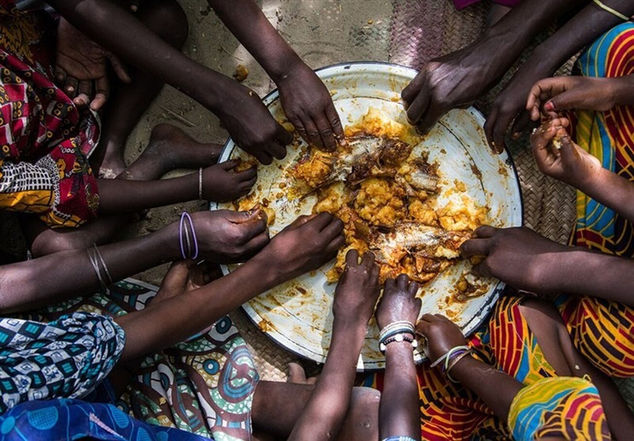 زنگ خطر بحران جهانی غذا به صدا درآمد!