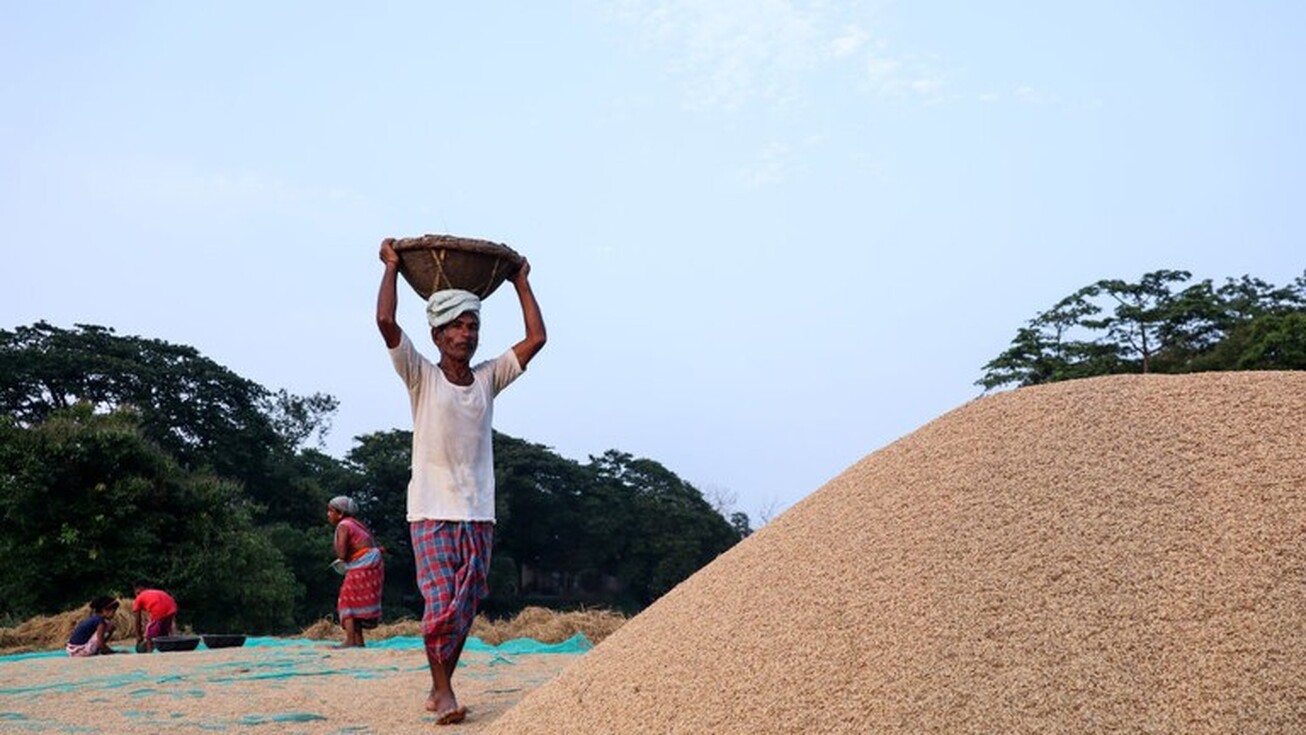 هند ارسال محموله های برنج را محدود کرد