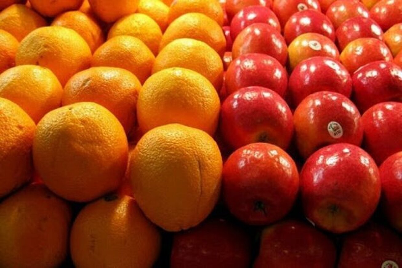 سیب و پرتقال با قیمت مصوب درحال توزیع است
