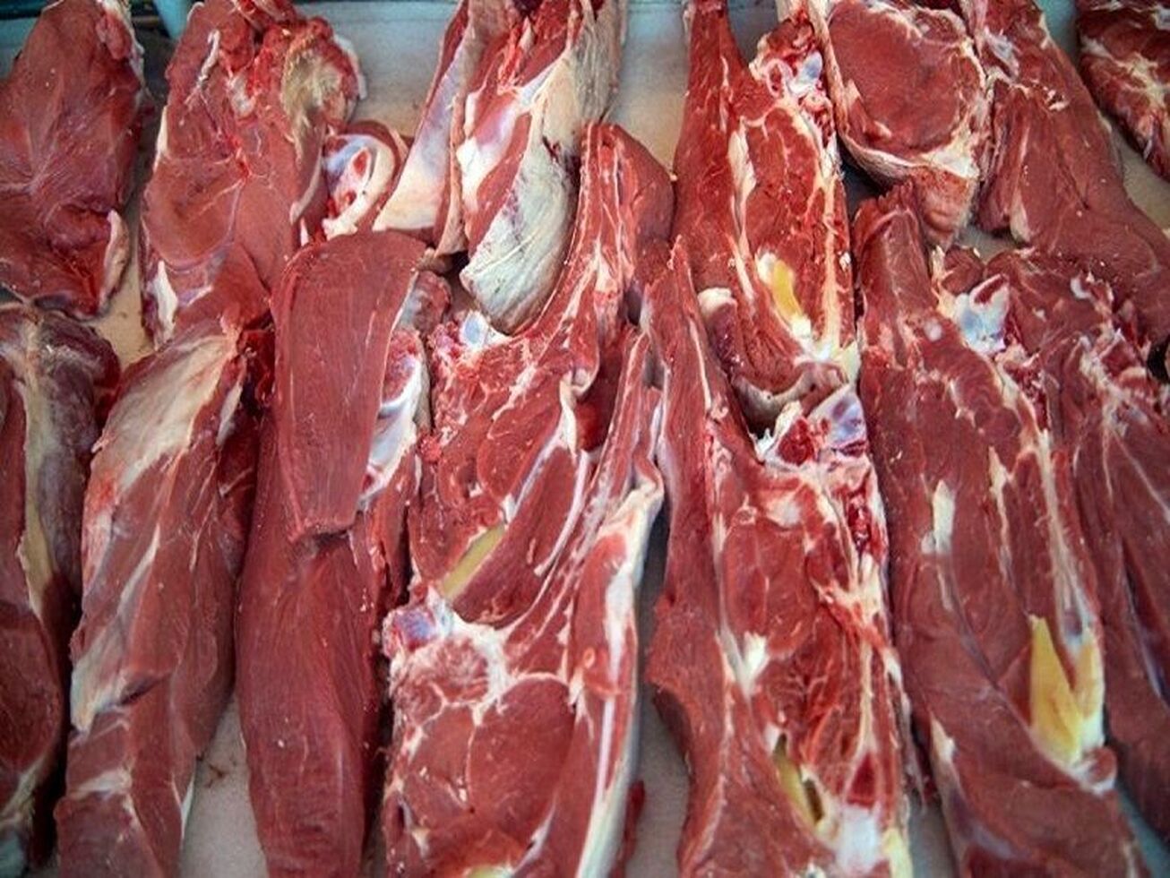 تولید گوشت قرمز در بهار ۱۴۰۳ افزایش چشمگیری پیدا می‌کند
