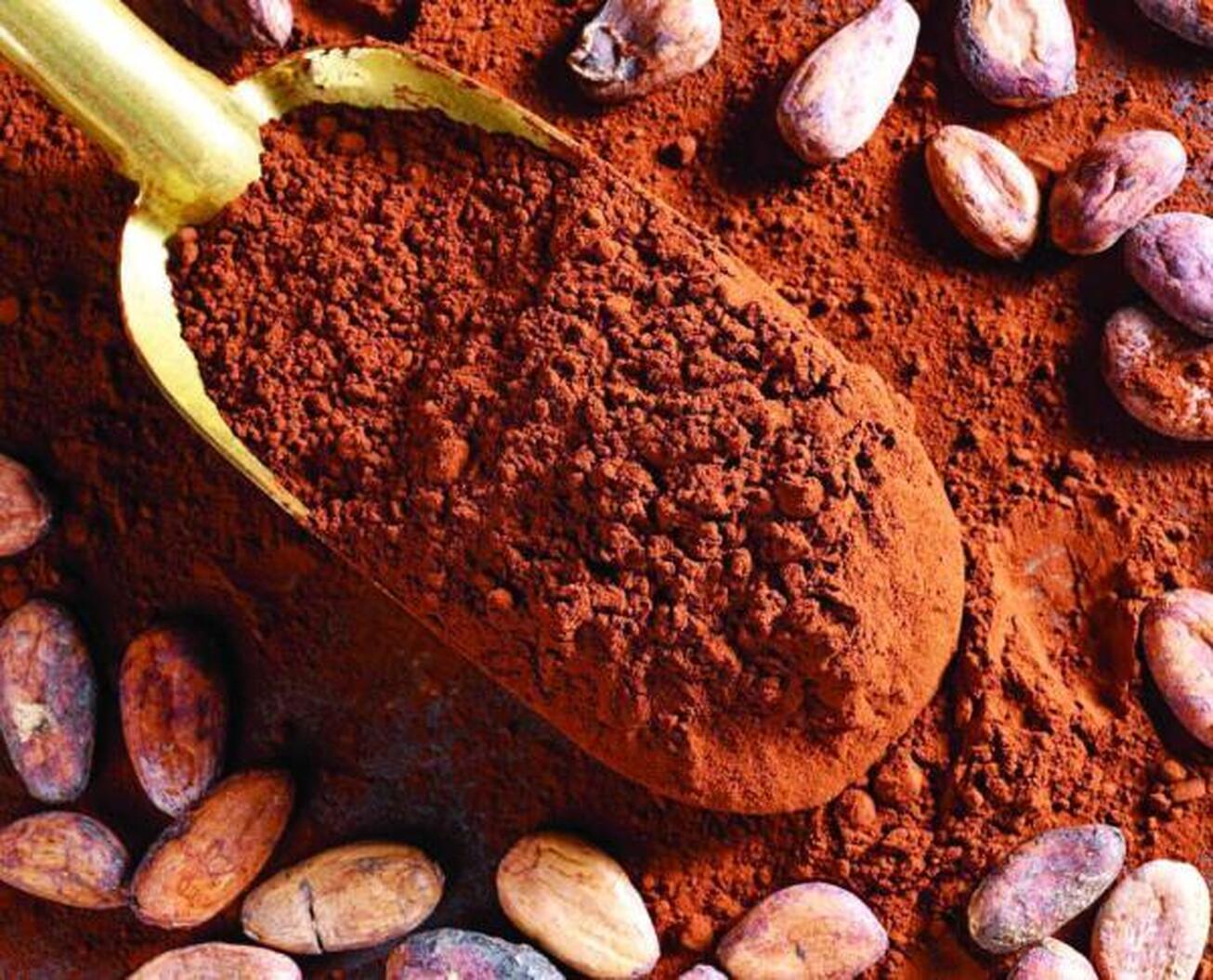 رکورد بالای قیمت جهانی کاکائو