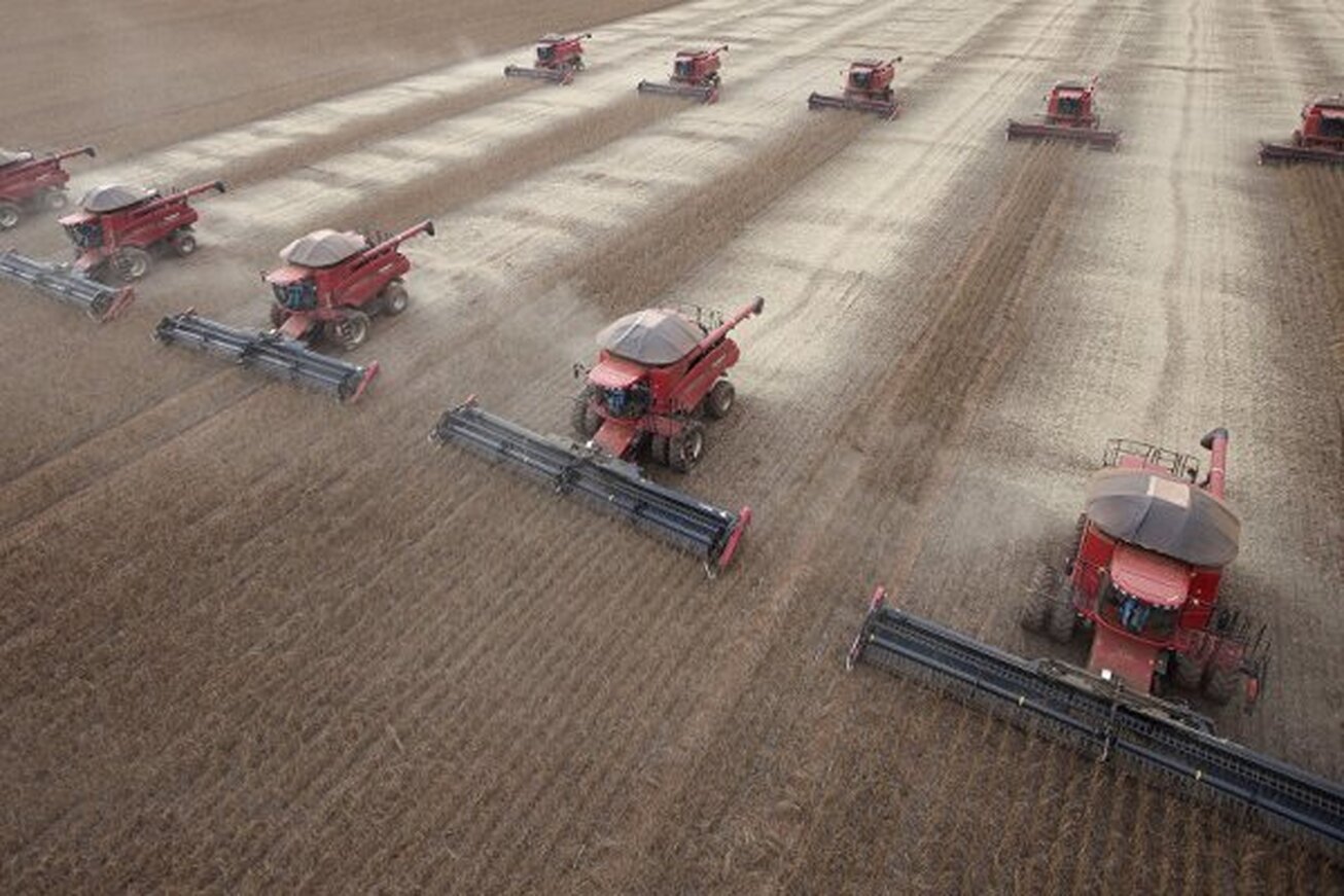 رکوردزنی روسیه در درآمد صادرات کشاورزی