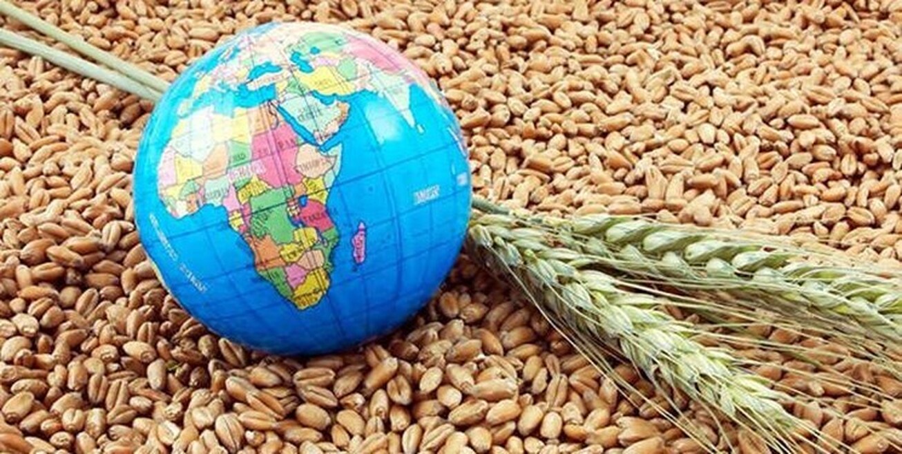 سیاست‌های جدید تامین غذا در جهان