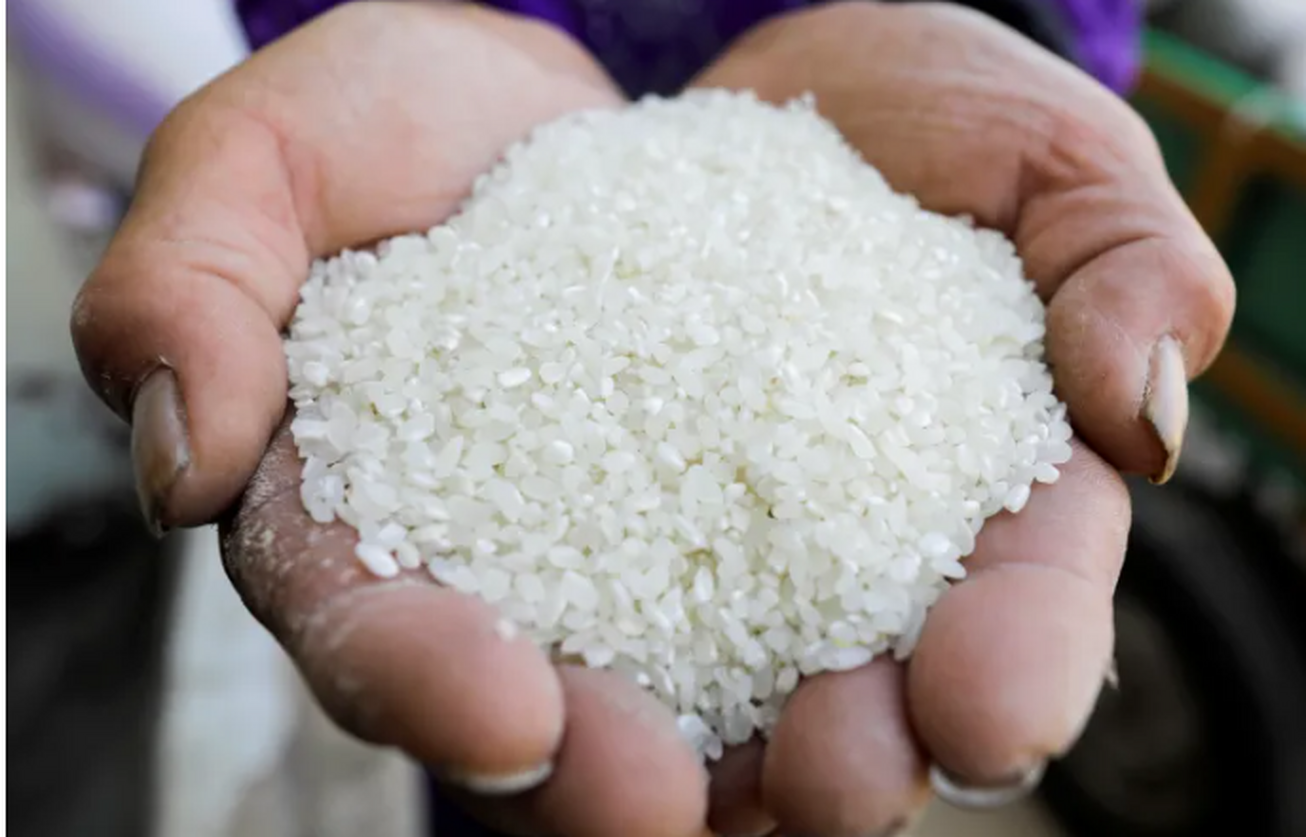 مالیات جدید هند برای صادرات برنج