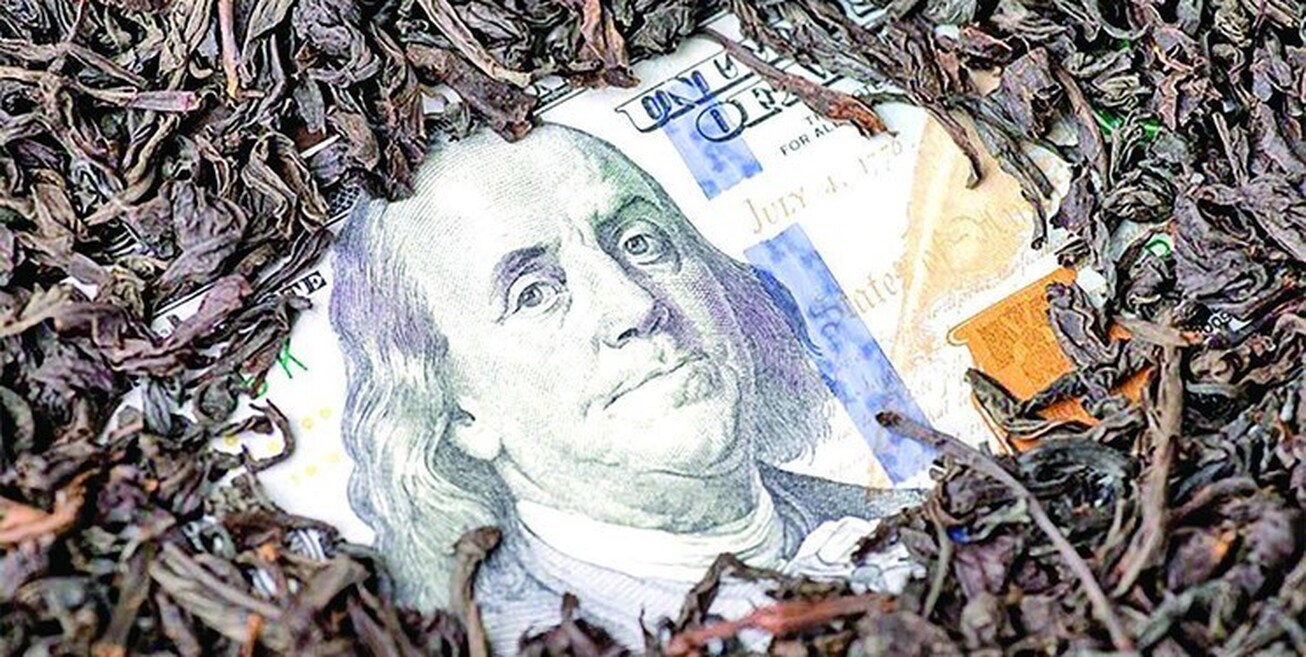 ماجرای توقف صدور ثبت سفارش و تخصیص ارز به چای