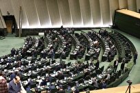 کلیات و جزئیات لایحه عضویت ایران در اوپک تصویب شد