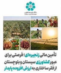 تأمین مالی زنجیره‌ای؛ فرصتی برای عبور کشاورزی سیستان و بلوچستان از فقر ساختاری به ارزش افزوده پایدار