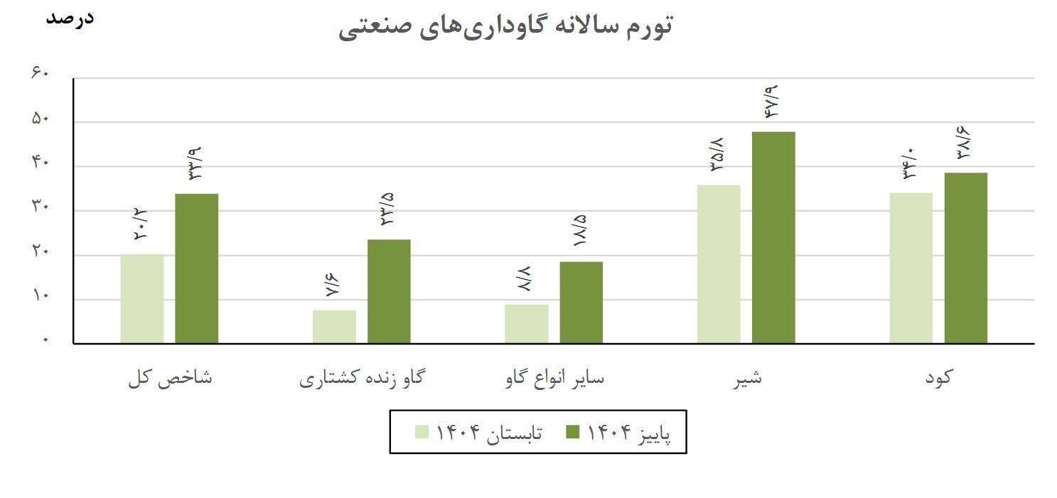 تورم تولیدکننده برق و پرورش دام و طیور افزایش یافت