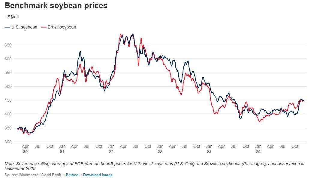 چشم‌انداز قیمت محصولات کشاورزی جهان در سال ۲۰۲۶