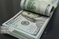 واکنش نمایندگان به سیاست ارزی دولت