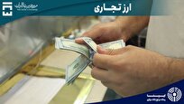 حجم معاملات بازار ارز تجاری به ۱۰۰ میلیون دلار رسید