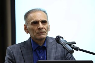 حفظ نرخ ارز در یک کریدور مشخص اقدام مثبتی است