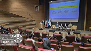 صندوق ضمانت سپرده به‌طور قانونی مدیر فرآیند گزیر است