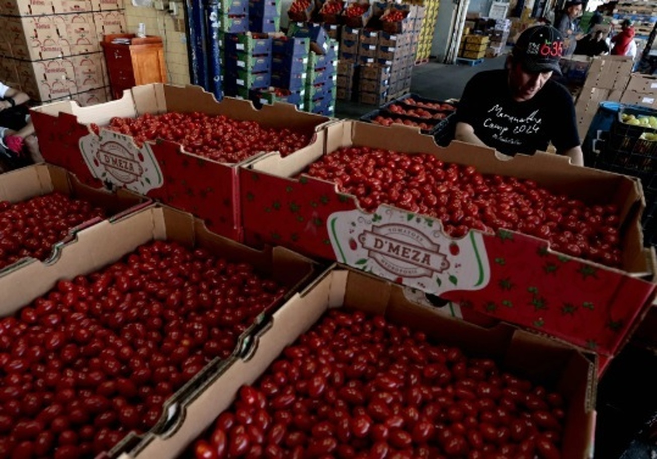 افزایش قیمت گوجه‌فرنگی در آمریکا با تعرفه جدید برای مکزیک