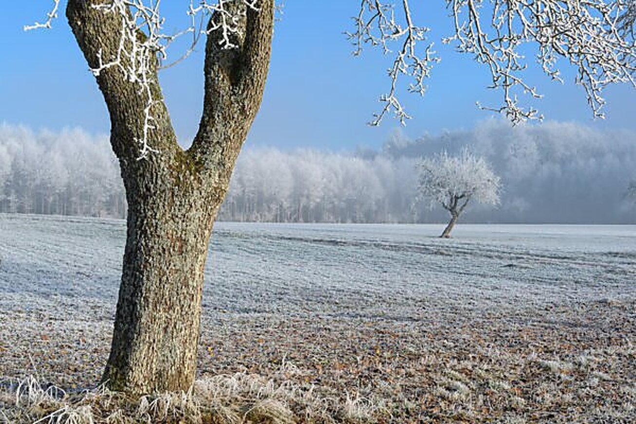 سرمای بهاری ترکیه صنعت خوراکی اروپا را با بحران مواجه کرد